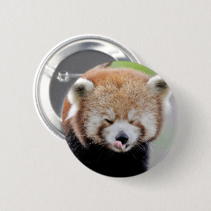 Badge Rond 5 Cm Boutons panda rouge. Panda roux.