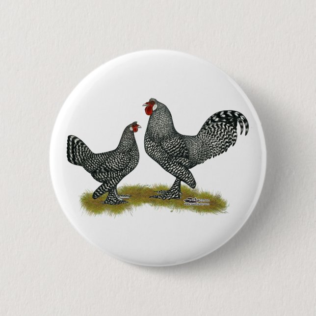 Badge Rond 5 Cm Breda Chickens Cuckoo (Devant)