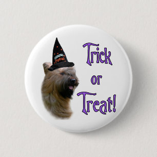 Badge Rond 5 Cm Briard Trick