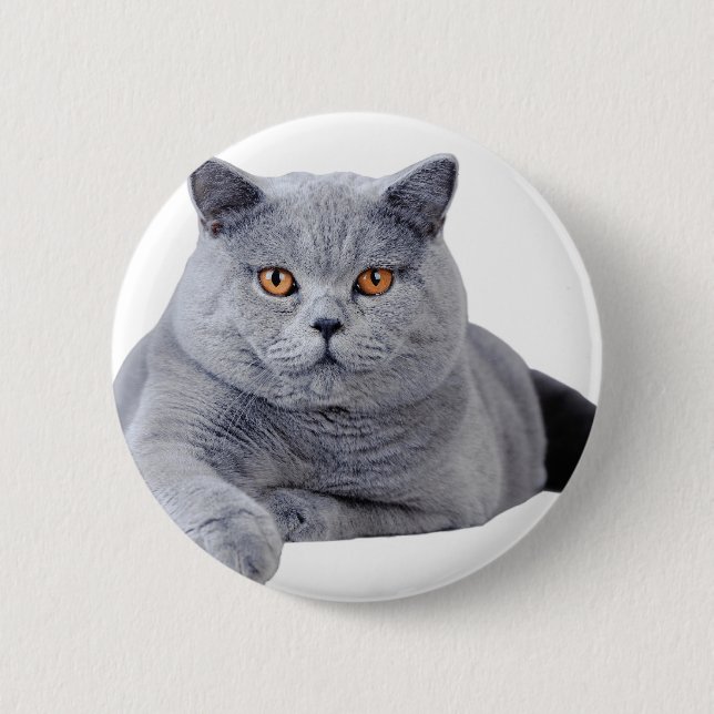 Badge Rond 5 Cm British shorthair (Devant)