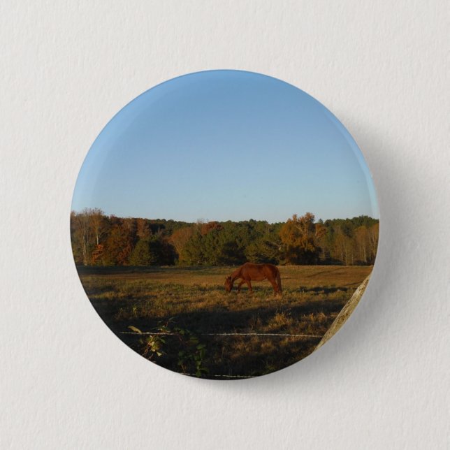 Badge Rond 5 Cm Brown horse in the Sun (Devant)
