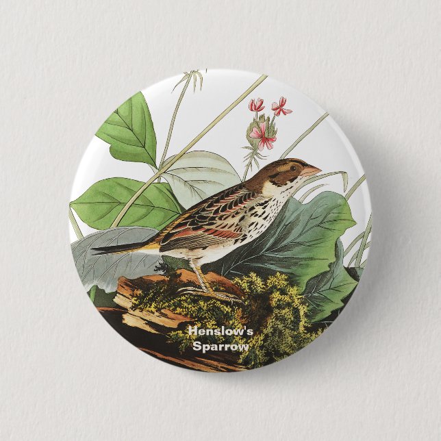 Badge Rond 5 Cm Bruant de Henslow, Oiseau, Audubon Art, Oiseau (Devant)