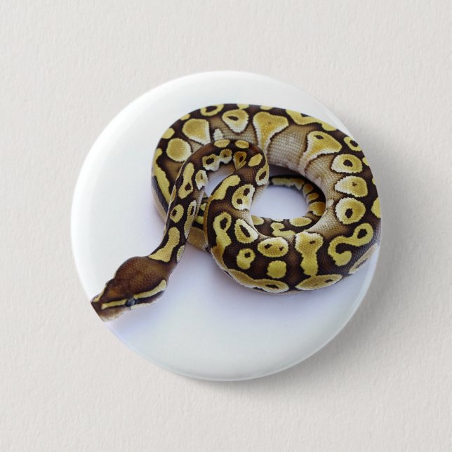 Badge Rond 5 Cm Brun et python 2 de boule d'or (Devant)