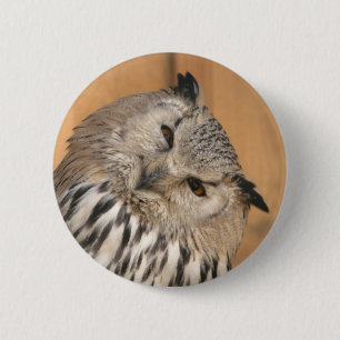 Badge Rond 5 Cm Bubo bubo sibiricus