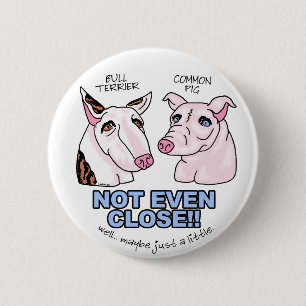 Badge Rond 5 Cm Bull Terrier PAS un porc
