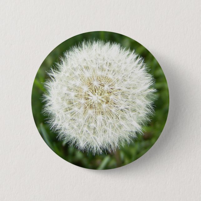 Badge Rond 5 Cm bulle (Devant)
