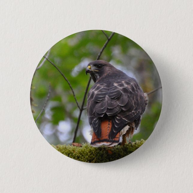 Badge Rond 5 Cm Buse à queue rouge (Devant)