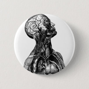 Badge Rond 5 Cm Buste d'anatomie