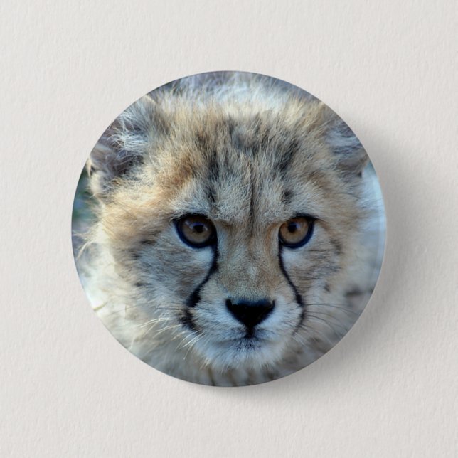 Badge Rond 5 Cm Button-cheetah-cub10x10 (Devant)