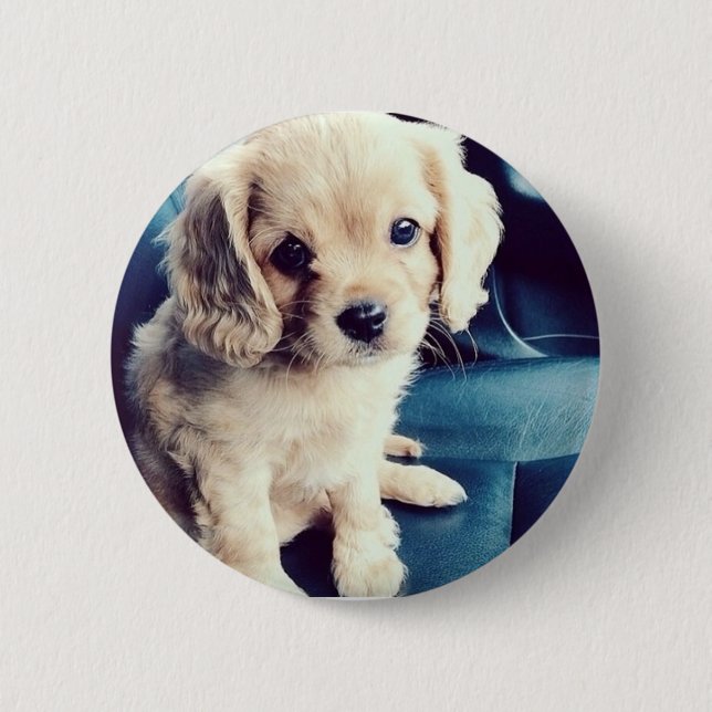 Badge Rond 5 Cm Buttonz ! (Devant)