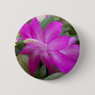 Badge Rond 5 Cm Cactus de Noël rose