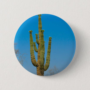 Badge Rond 5 Cm Cactus de Saguaro