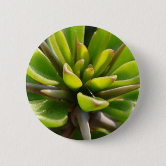 Badge Rond 5 Cm Cactus frais