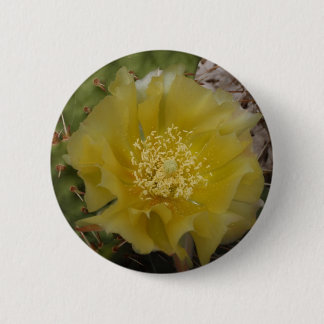 Badge Rond 5 Cm Cactus jaune en fleurs