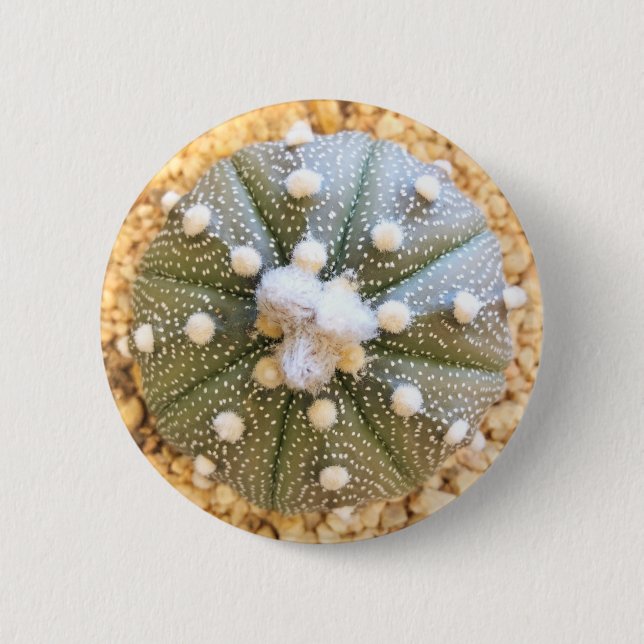 Badge Rond 5 Cm Cactus rare de motif d'Astrophytum Asterias (Devant)