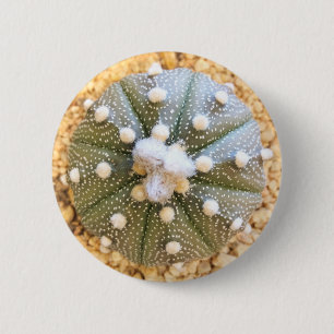 Badge Rond 5 Cm Cactus rare de motif d'Astrophytum Asterias