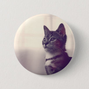Badge Rond 5 Cm Cadeaux Amoureux de les chats, boutons de bascule 