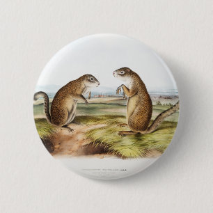 Badge Rond 5 Cm Cadeaux de camping de Marmot Squirrel de Franklin