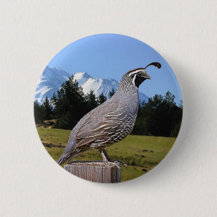 BADGE ROND 5 CM CAILLES SUR LE POINT RÊVEUR