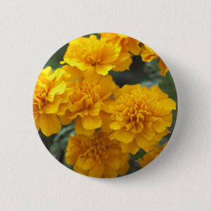 Badge Rond 5 Cm Calendula