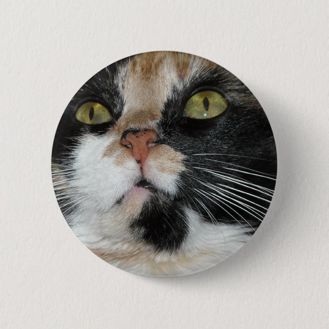 Badge Rond 5 Cm Calico Cat (Devant)