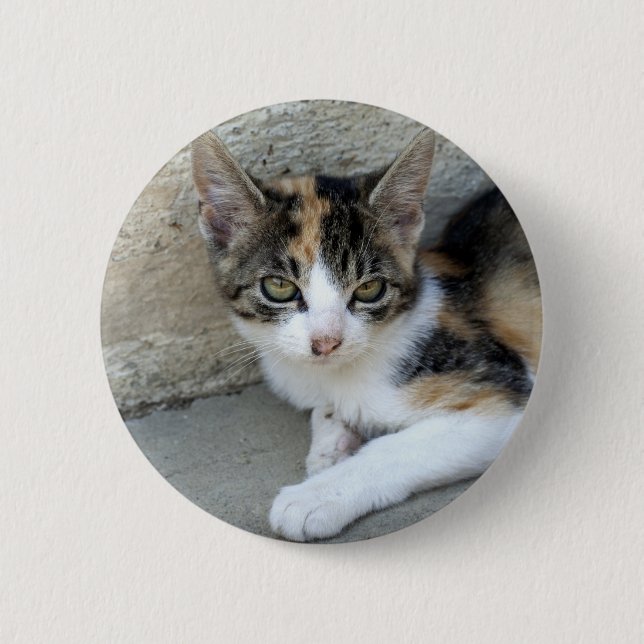 Badge Rond 5 Cm Calico Kitten (Devant)