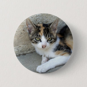 Badge Rond 5 Cm Calico Kitten