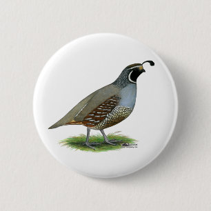 Badge Rond 5 Cm California Valley Quail