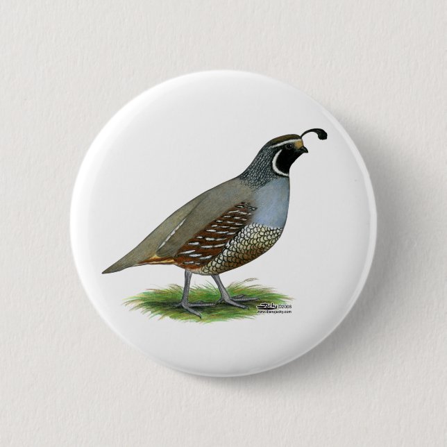 Badge Rond 5 Cm California Valley Quail (Devant)