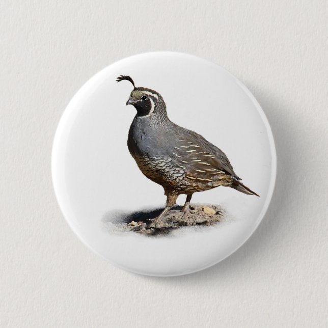 BADGE ROND 5 CM CALIFORNIE QUAIL (Devant)