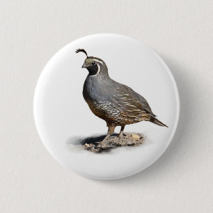 BADGE ROND 5 CM CALIFORNIE QUAIL