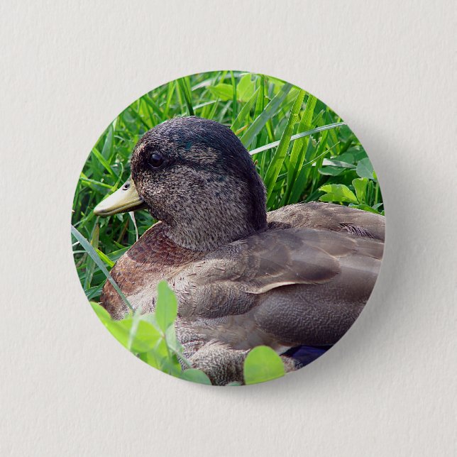 Badge Rond 5 Cm Call Duck Drake (Devant)