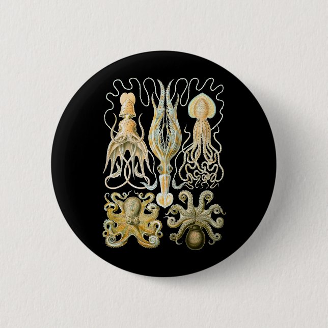 Badge Rond 5 Cm Calmar et poulpe (Devant)