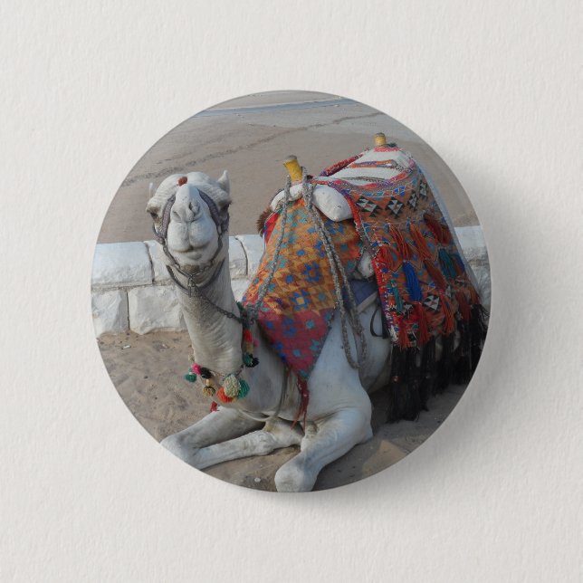 Badge Rond 5 Cm Camel d'Égypte (Devant)