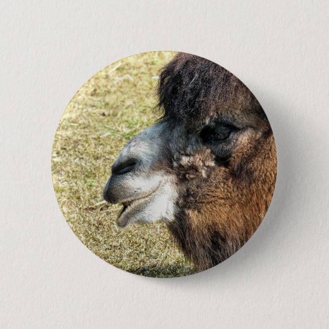 BADGE ROND 5 CM CAMELS (Devant)