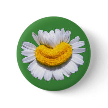 Camomille Radieuse Fleur Souriant Heureux