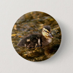 Badge Rond 5 Cm Canard