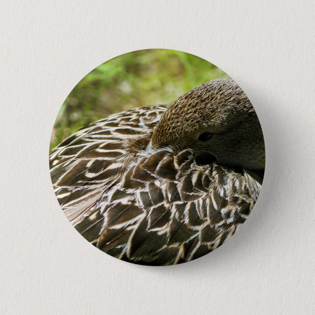 Badge Rond 5 Cm Canard (Devant)