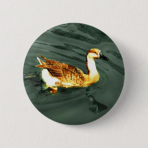Badge Rond 5 Cm Canard