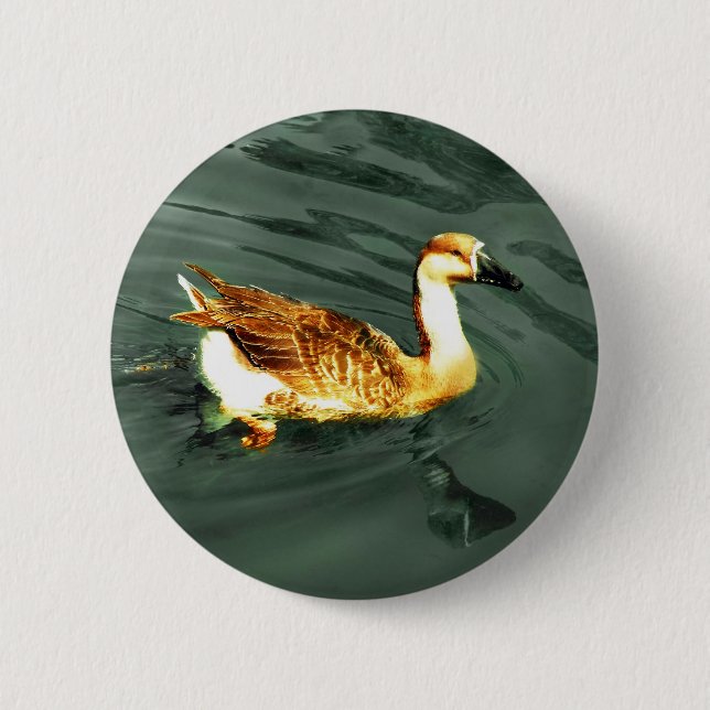 Badge Rond 5 Cm Canard (Devant)