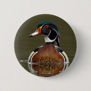 Badge Rond 5 Cm Canard à bois sur l'eau
