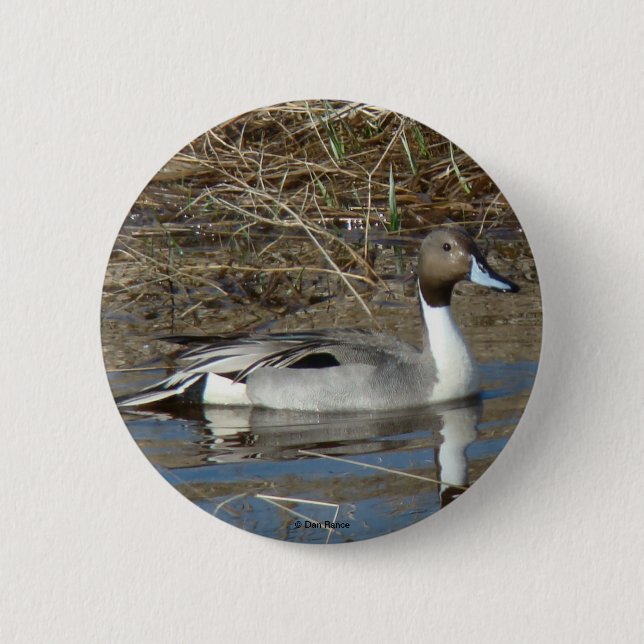 Badge Rond 5 Cm Canard colvert B5 (Devant)