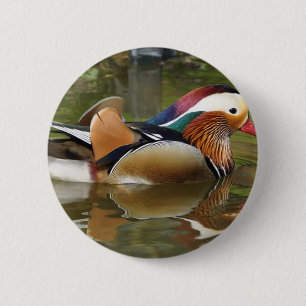 Badge Rond 5 Cm canard mandarin