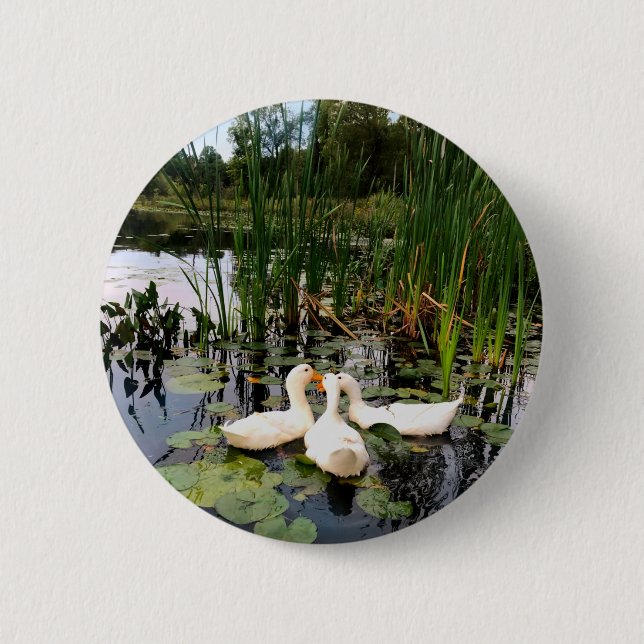 Badge Rond 5 Cm Canards blancs classiques sur le magnifique lac (Devant)