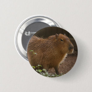 Badge Rond 5 Cm Capybara
