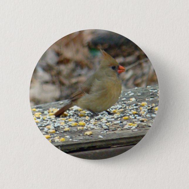 Badge Rond 5 Cm Cardinal (Cardinalis cardinalis) (Devant)
