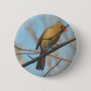 Badge Rond 5 Cm Cardinal/Oiseau féminin