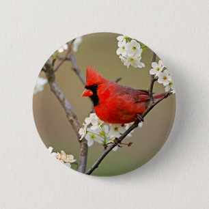 Badge Rond 5 Cm Cardinal rouge