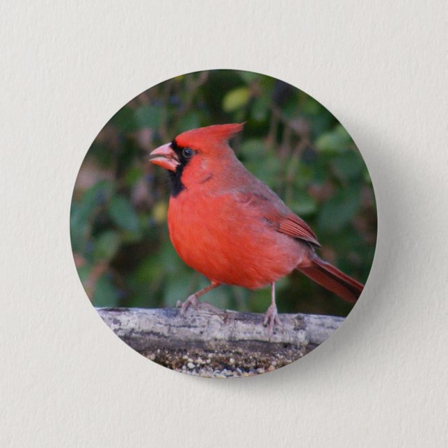 Badge Rond 5 Cm Cardinal rouge intelligent (Devant)