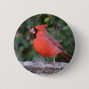 Badge Rond 5 Cm Cardinal rouge intelligent